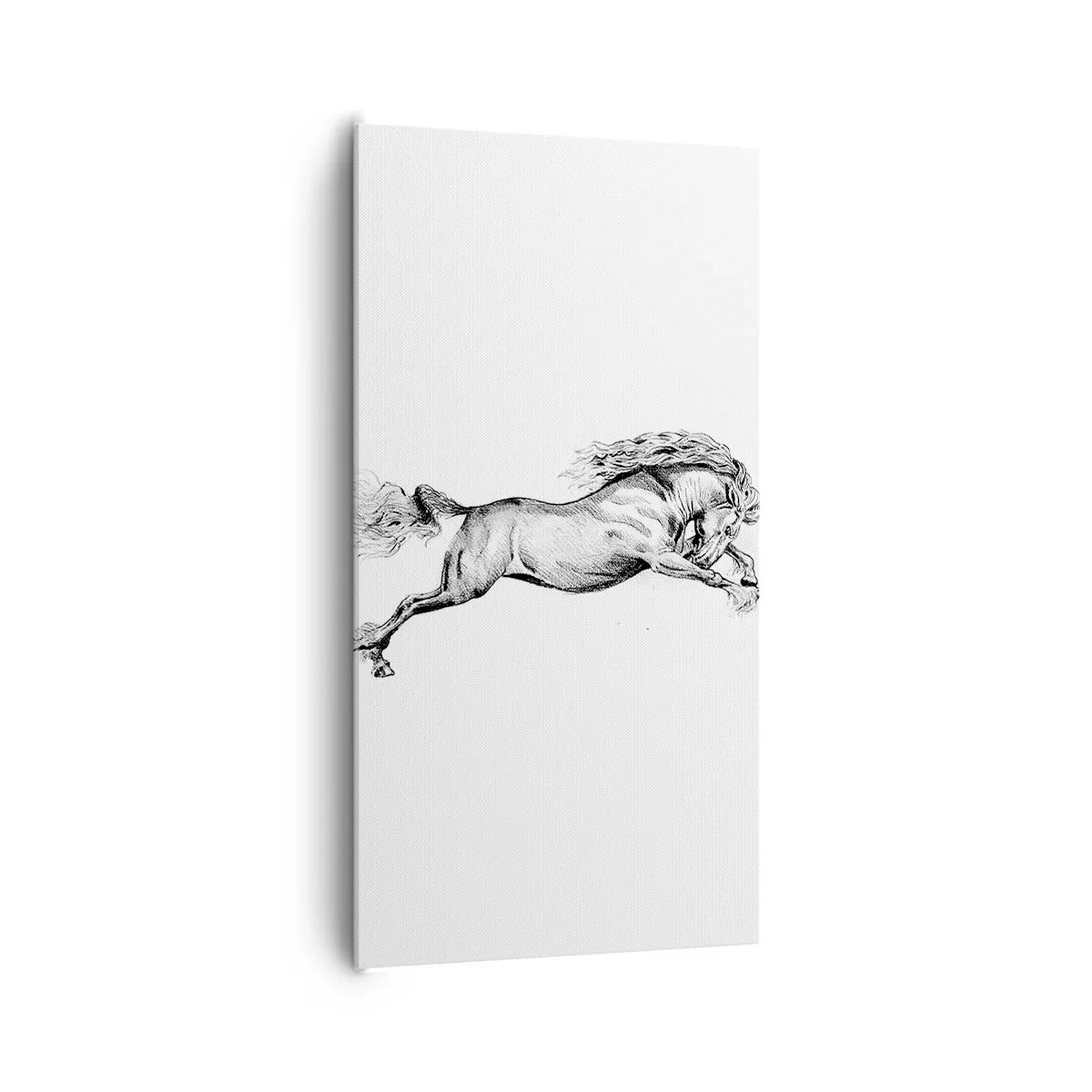 Quadro su tela - Stampe su Tela - Fermo al galoppo - 65x120 cm