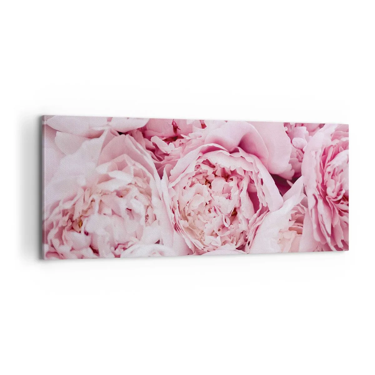 Quadro su tela - Stampe su Tela - Morbide e profumate - 100x40 cm