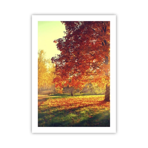 Poster - Parco autunnale con un albero con foglie dorate al sole - 50x70cm - Rosso è bello - Decorazione murale moderna per soggiorno e camera da letto ARTTOR