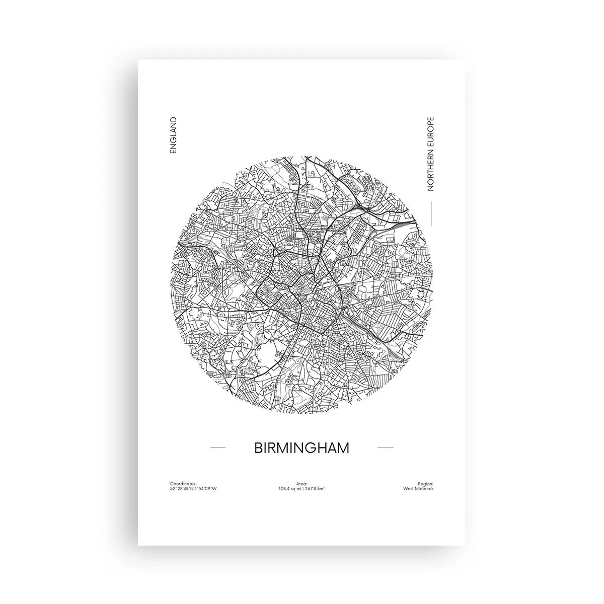 Poster - Anatomia di Birmingham - 61x91 cm