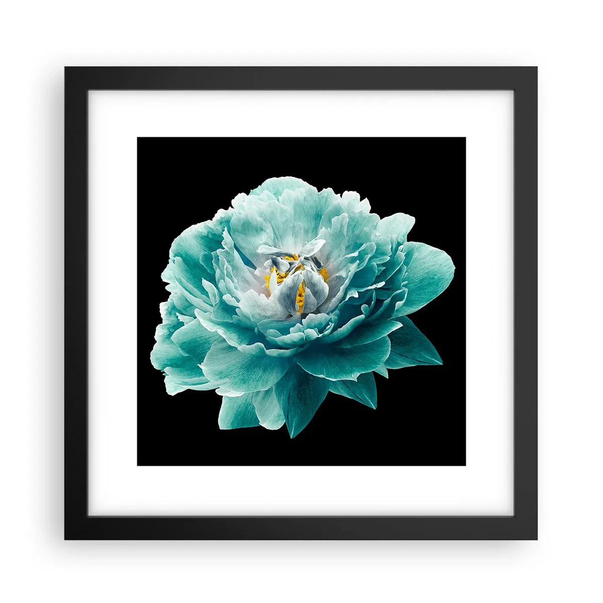 Poster in cornice nera - Petali blu e oro - 30x30 cm