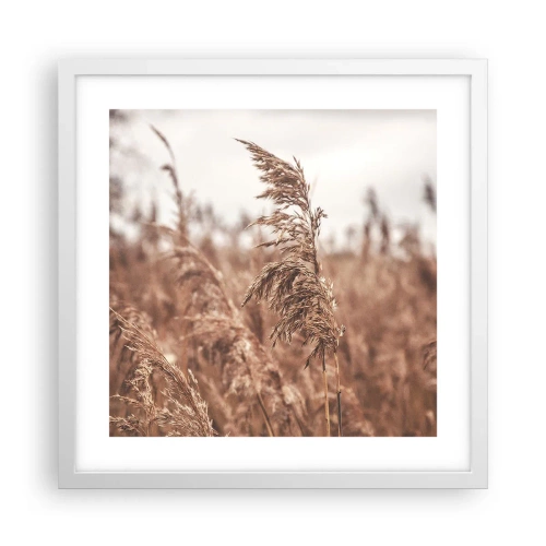 Poster in cornice bianca - Nei campi è già autunno - 40x40 cm