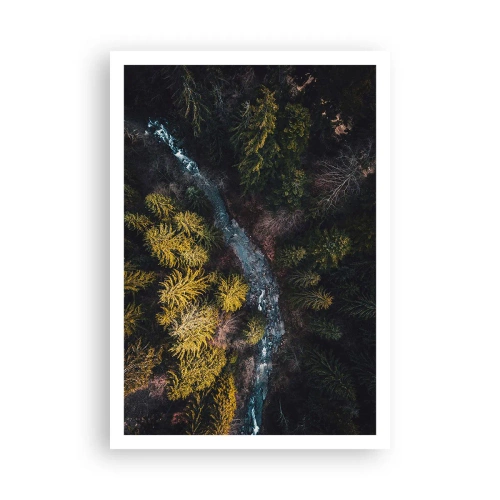 Poster - Sempre più veloce - 70x100 cm