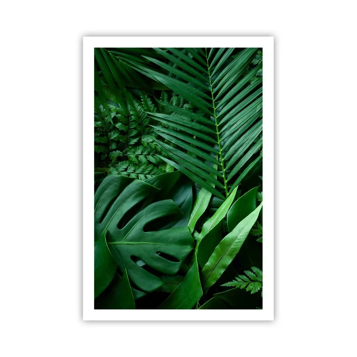 Poster - Avvolti nel verde - 61x91 cm