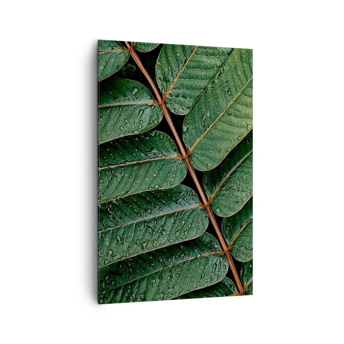 Quadro su tela - Stampe su Tela - Macro di foglie verdi con gocce di rugiada - 80x120cm - Al ritmo verde - Decorazione murale moderna per soggiorno e camera da letto ARTTOR