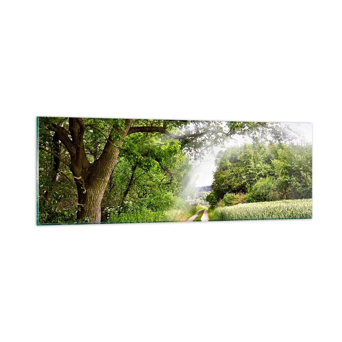 Quadro su vetro - Et in Arcadia ego - 90x30 cm