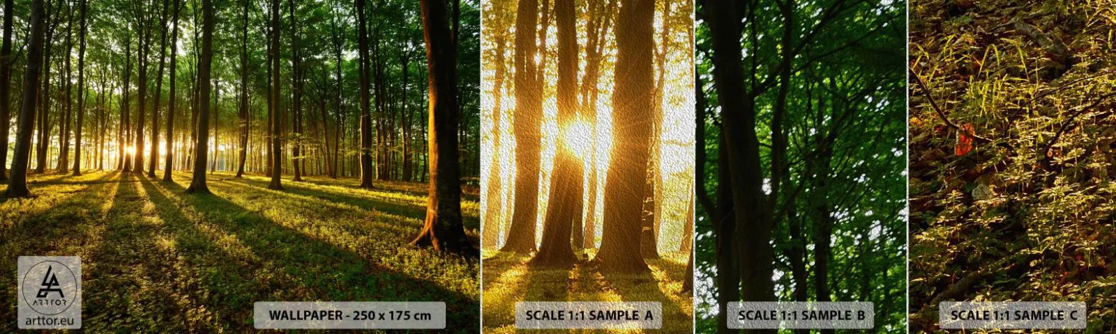 Campione di Fotomurale Premium Sand - La foto di ogni primavera - Paesaggio, foresta, Natura - 100x30 cm