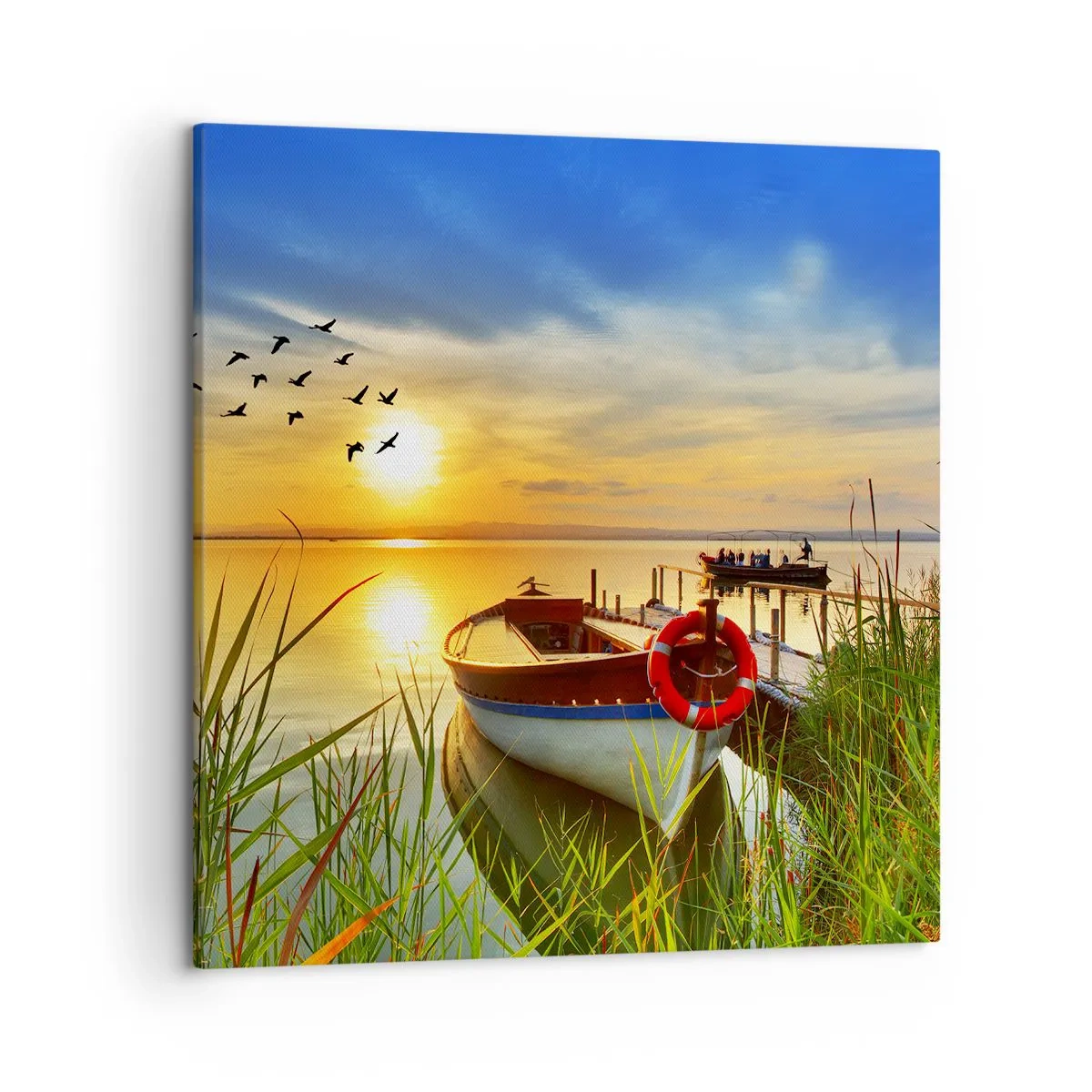 Quadro su tela - Stampe su Tela - I cormorano volano già via - 50x50 cm