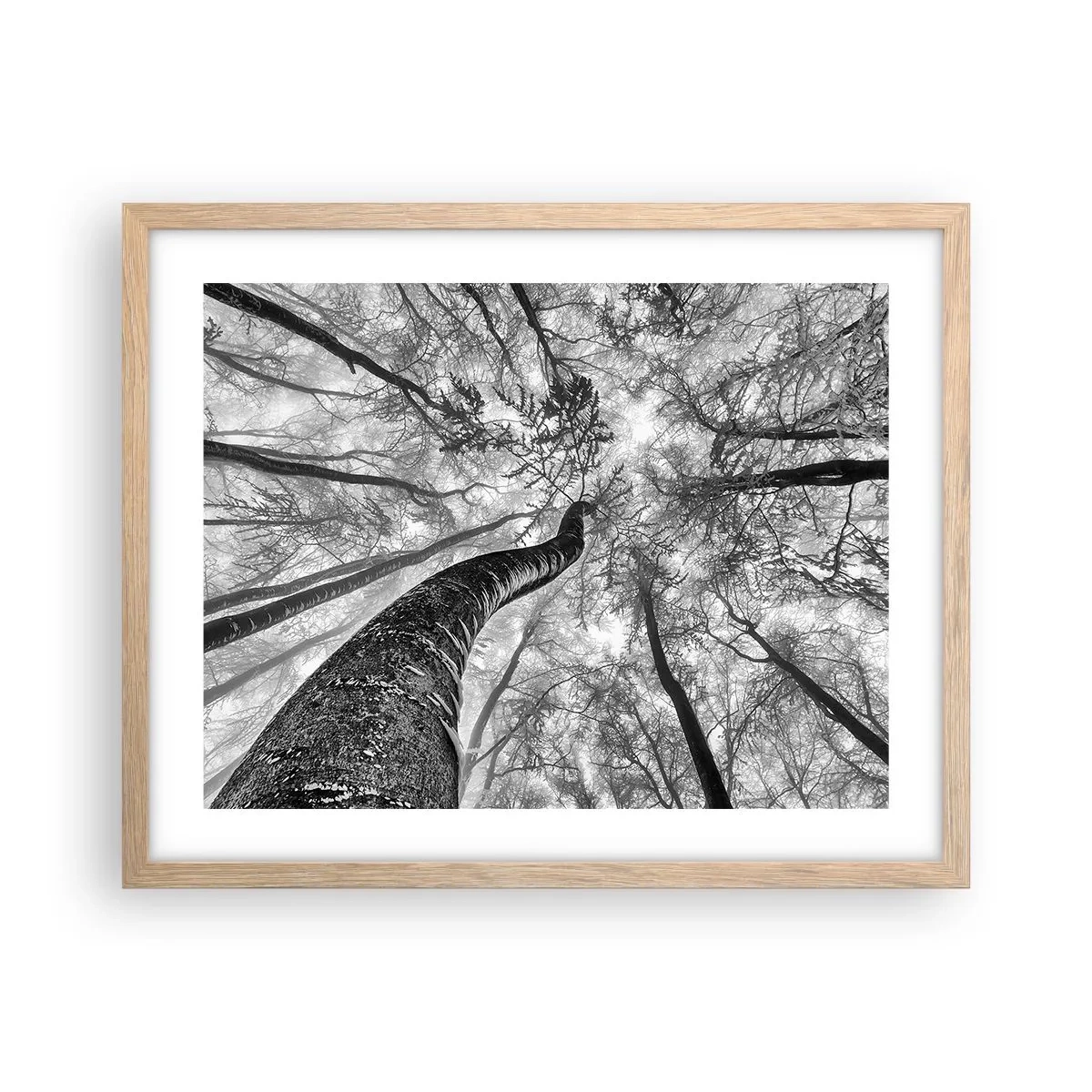 Poster in cornice rovere chiaro - La corsa verso la luce - 50x40 cm