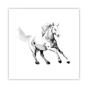 Poster - Anima indomabile - 30x30 cm