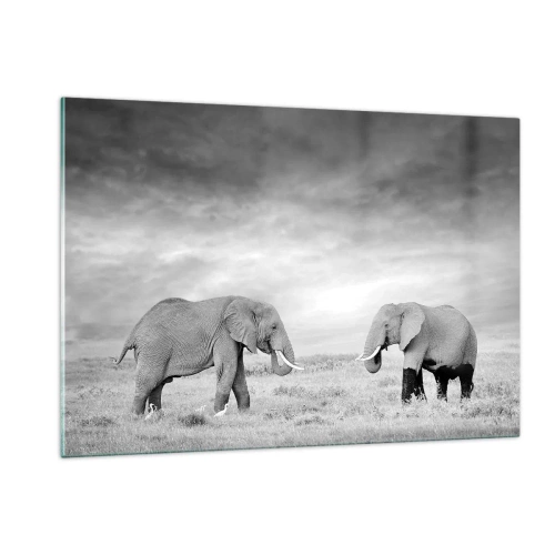 Quadro su vetro - Due elefanti nella savana nei toni del bianco e del nero - 120x80cm - Grigio è bello - Decorazione murale moderna per soggiorno e camera da letto ARTTOR