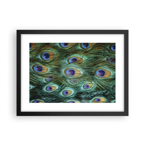 Poster in cornice nera - Lo sguardo del pavone - 40x30 cm