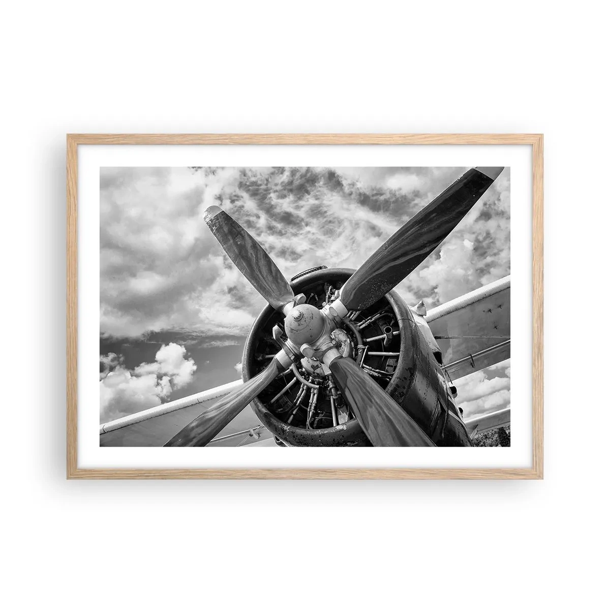 Poster in cornice rovere chiaro - Il dominatore dell'aria - 70x50 cm