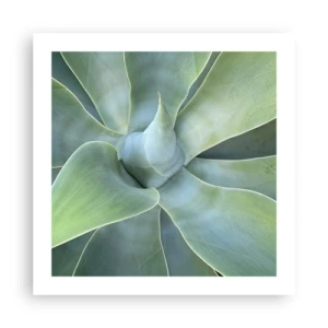 Poster - La nascita del verde - 50x50 cm