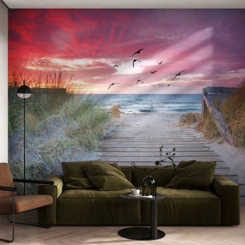 Fotomurali Premium Canvas - Impressioni baltiche - Paesaggio marino, Spiaggia, Uccelli - 500x350 cm