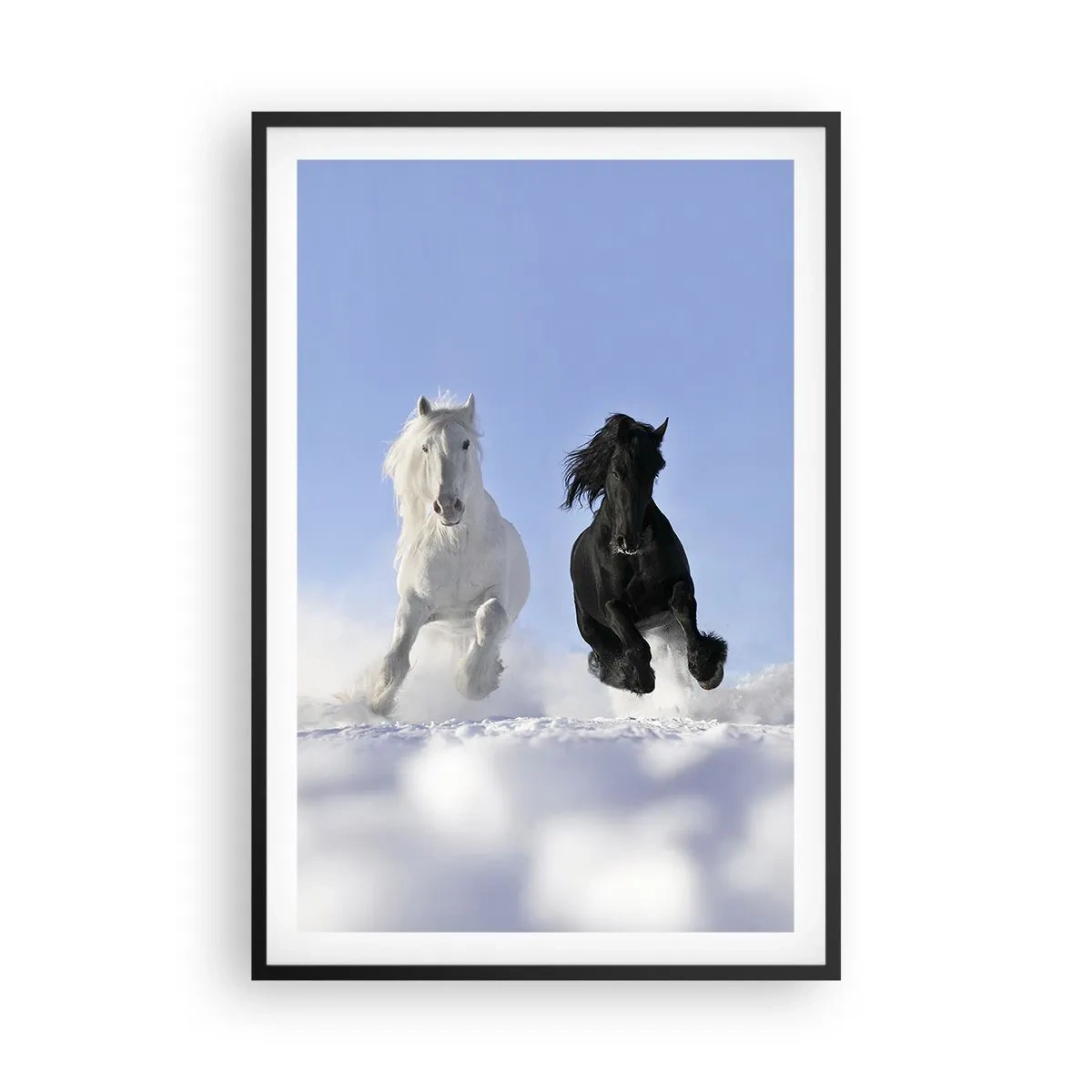 Poster in cornice nera - Galoppo in bianco e nero - 61x91 cm