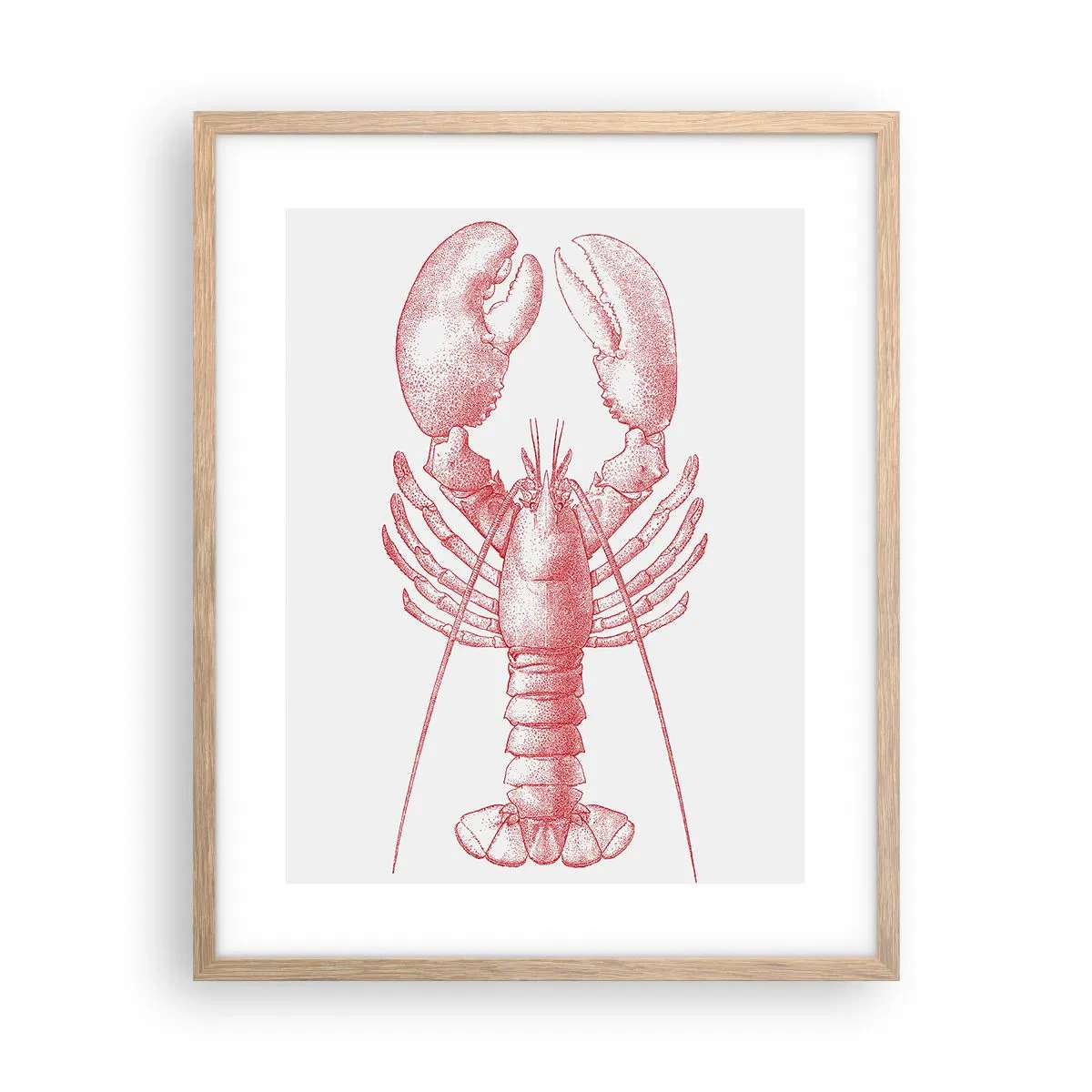 Poster in cornice rovere chiaro - Aragosta d'agosto - 40x50 cm