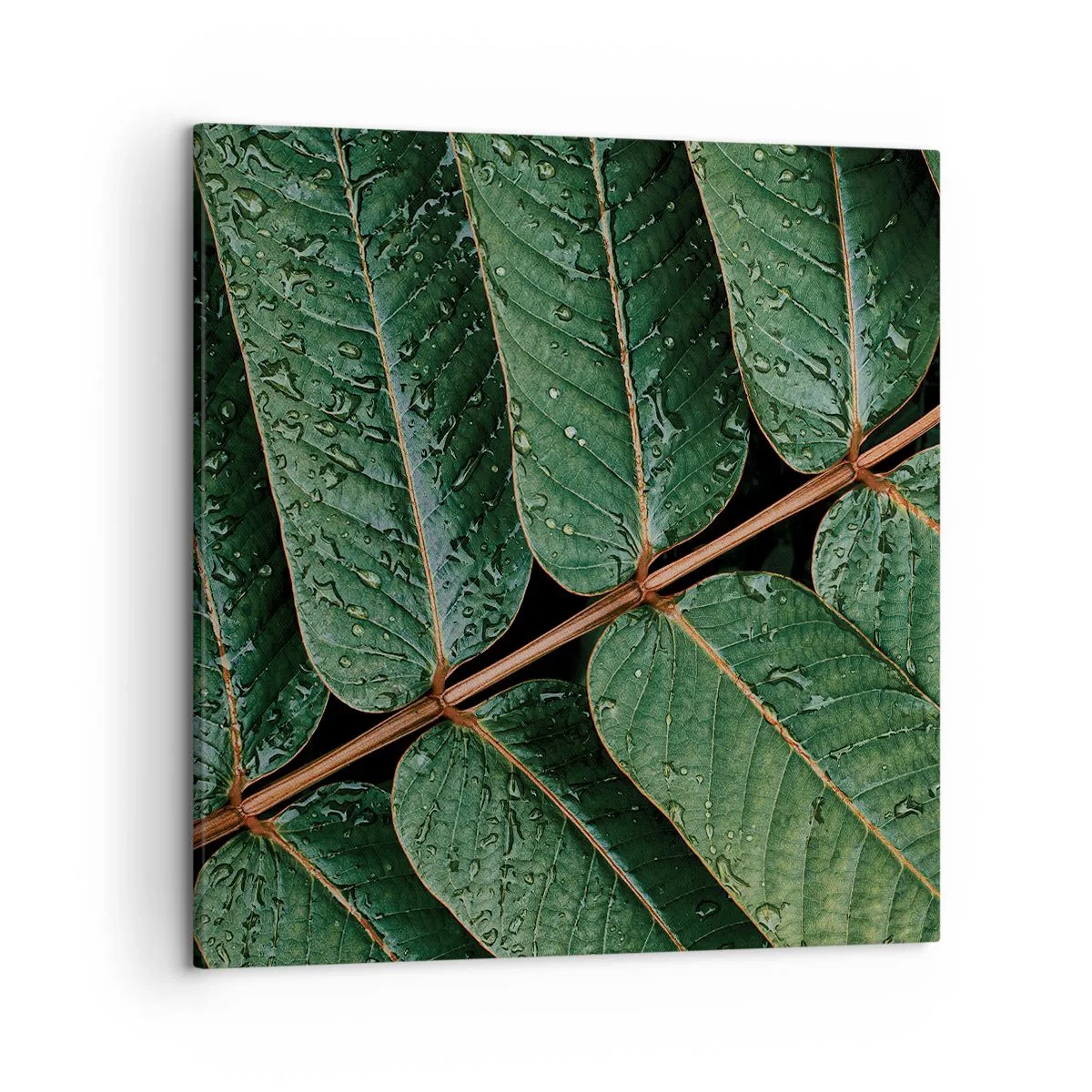 Quadro su tela - Stampe su Tela - Al ritmo verde - 50x50 cm