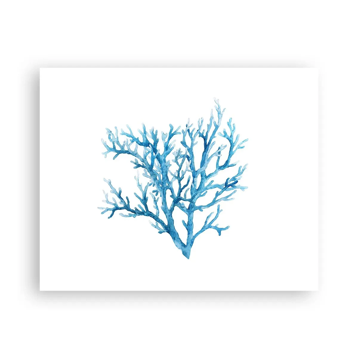 Poster - Filigrana marina - 50x40 cm