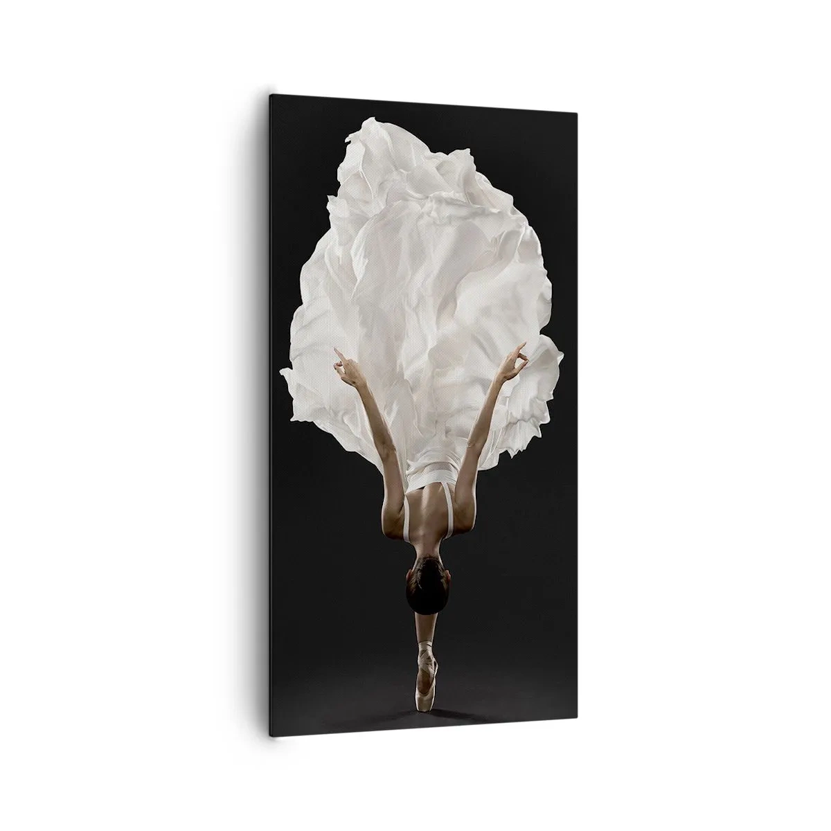 Quadro su tela - Stampe su Tela - Un passo straordinario - 65x120 cm