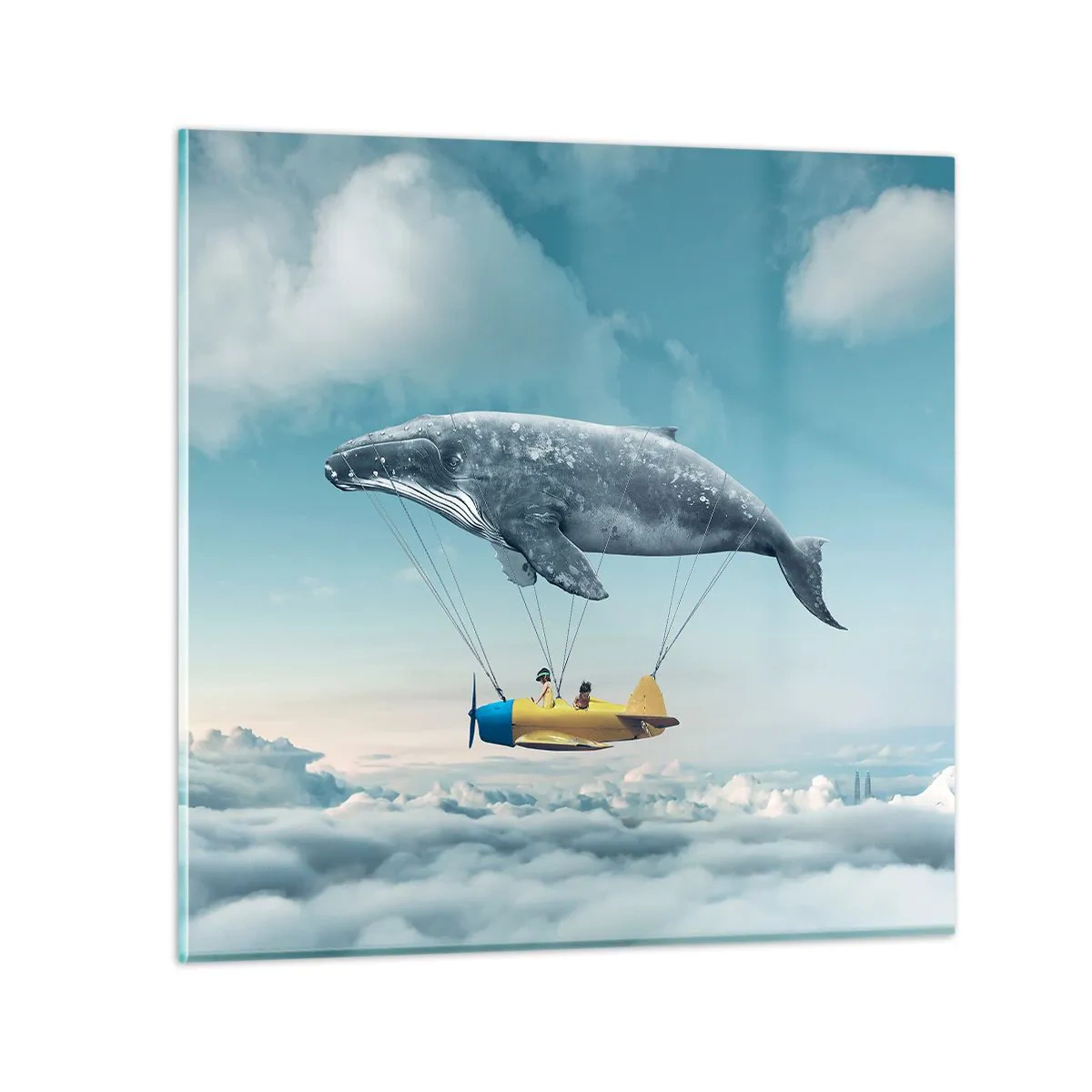 Quadro su vetro - Perché no? - 70x70 cm