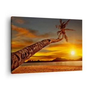 Quadro su tela - Stampe su Tela - Palma sulla spiaggia al tramonto con vista sul mare - 70x50cm - Vacanze esotiche, avventura nei Caraibi - Decorazione murale moderna per soggiorno e camera da letto ARTTOR