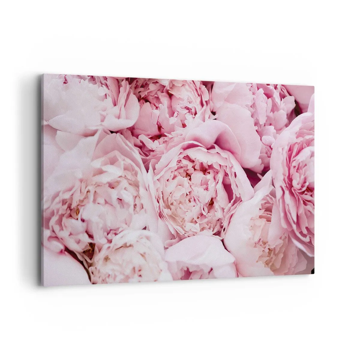 Quadro su tela - Stampe su Tela - Un primo piano di un bouquet di peonie rosa - 120x80cm - Morbide e profumate - Decorazione murale moderna per soggiorno e camera da letto ARTTOR