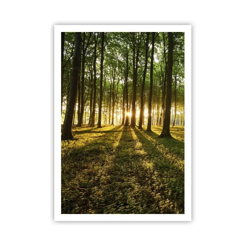 Poster - La foto di ogni primavera - 70x100 cm