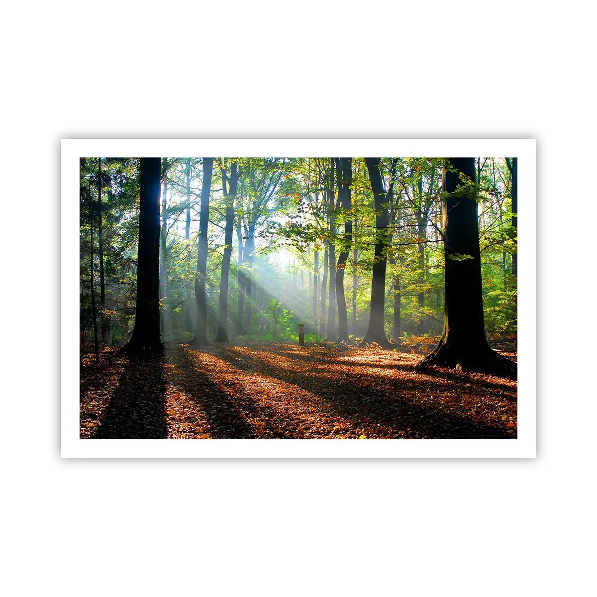 Poster - Luci e ombre - 91x61 cm