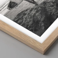 Rovere chiaro