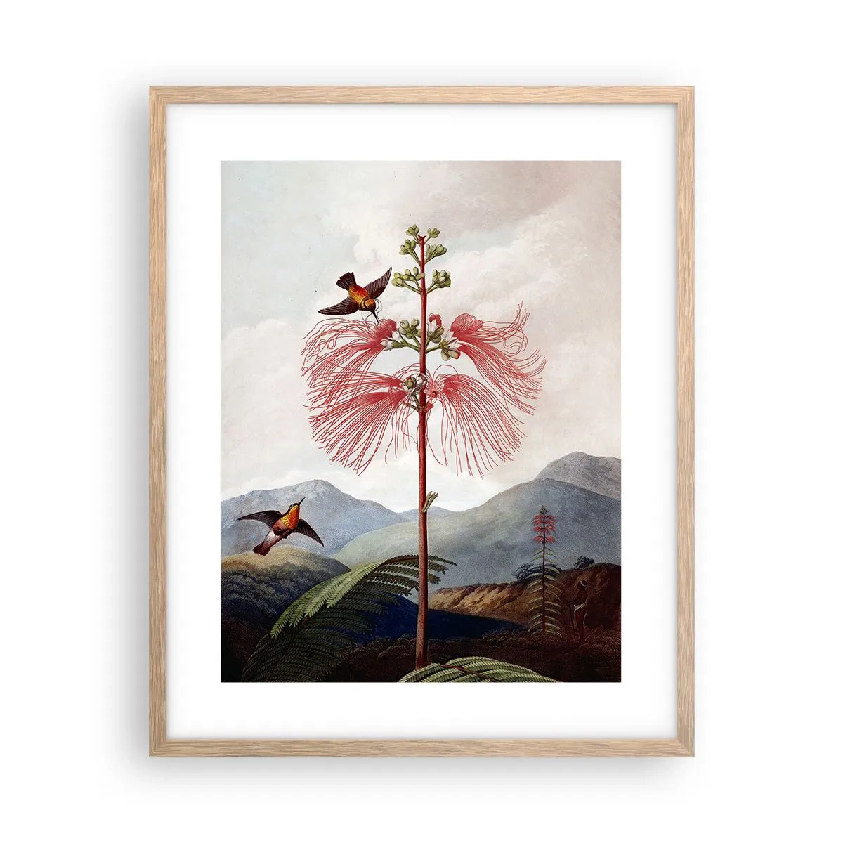 Poster in cornice rovere chiaro - Nel paradiso tropicale - 40x50 cm