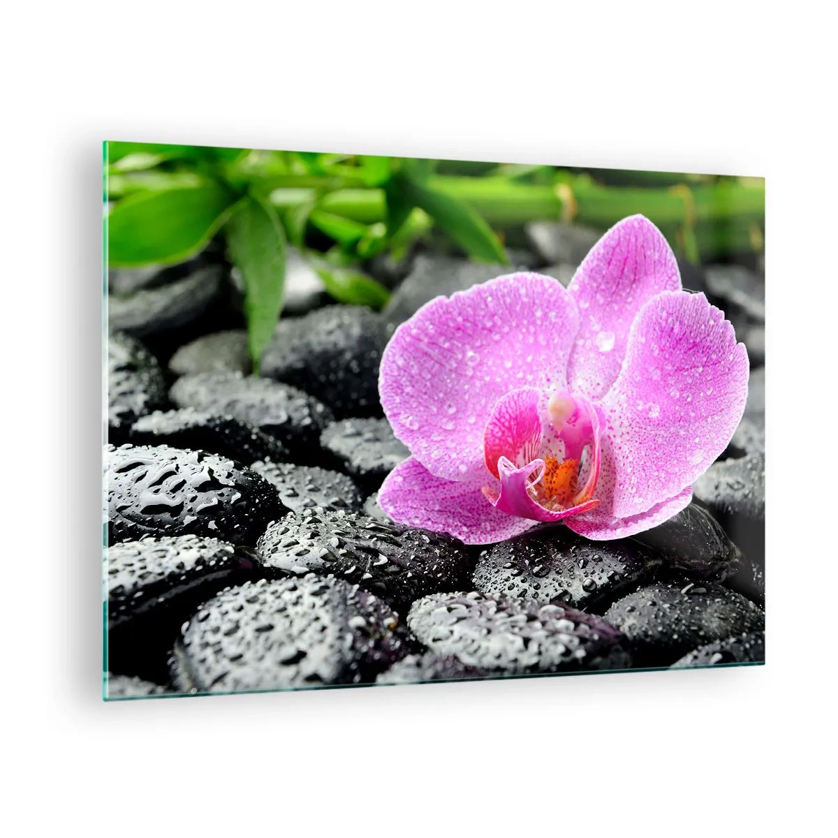 Quadro su vetro - Fiore di orchidea rosa su pietre nere bagnate - 70x50cm - Come un cuore aperto - Decorazione murale moderna per soggiorno e camera da letto ARTTOR