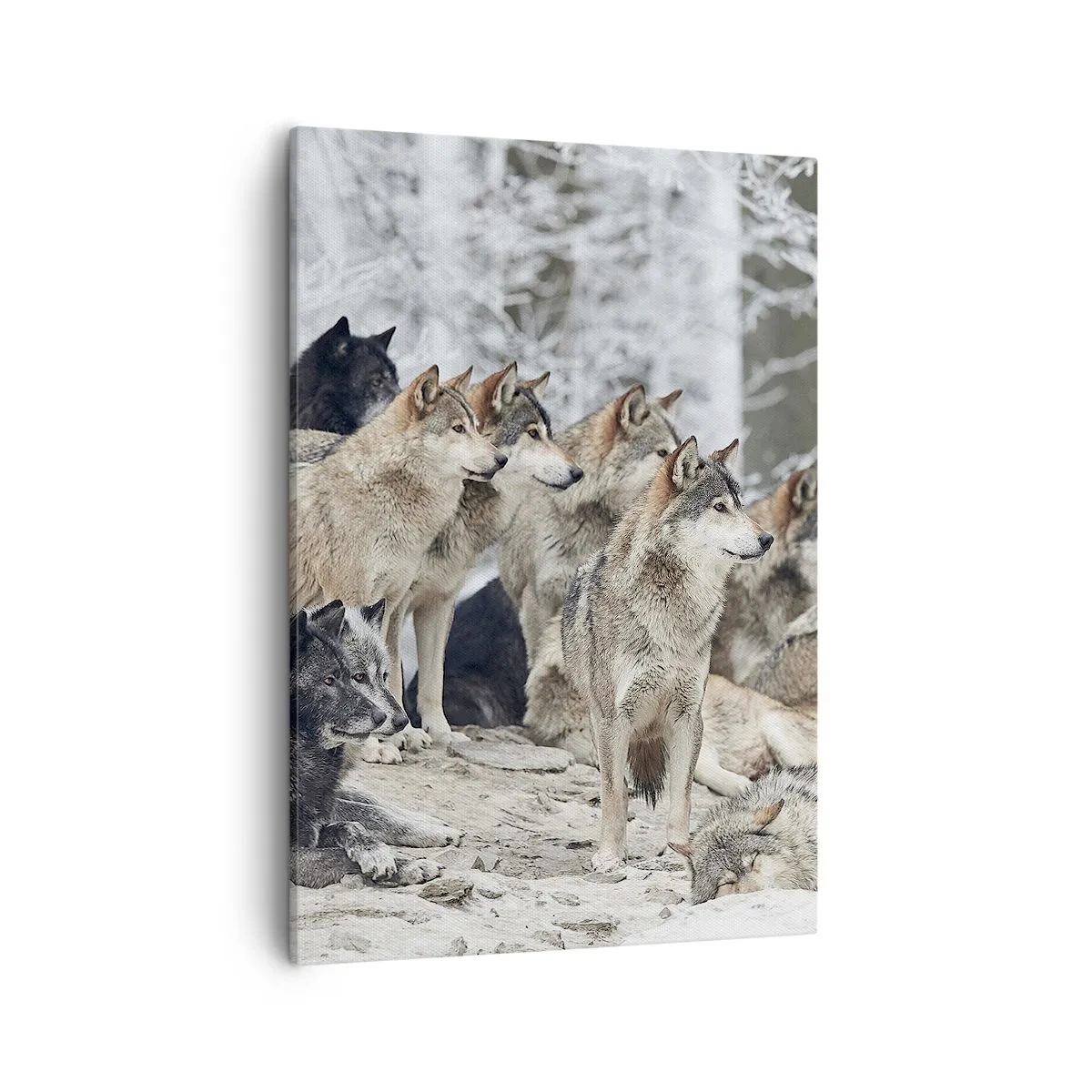 Quadro su tela - Stampe su Tela - Un branco di lupi nella foresta invernale - 50x70cm - Famiglia e amici - Decorazione murale moderna per soggiorno e camera da letto ARTTOR