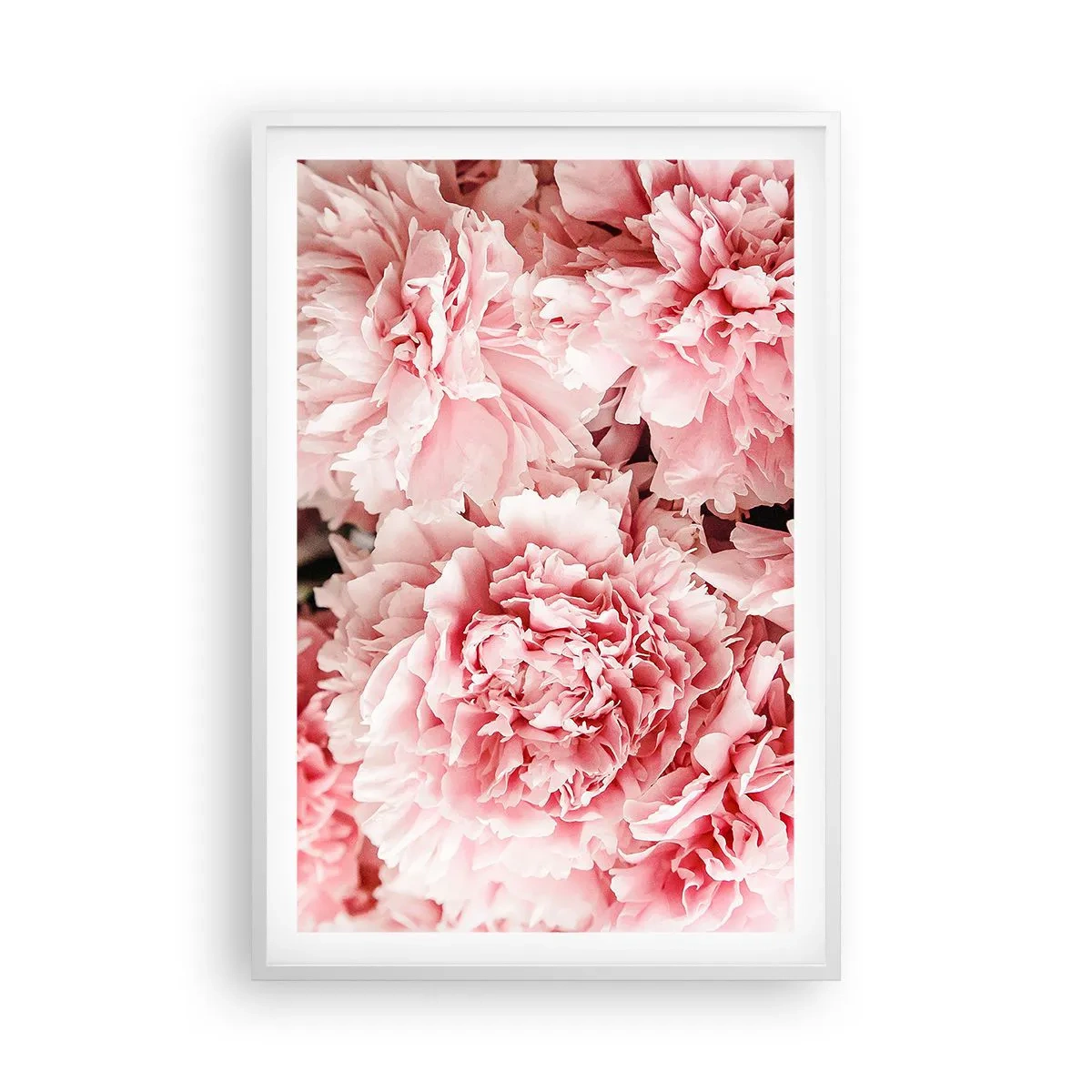 Poster in cornice bianca - Sogno rosa - 61x91 cm