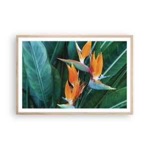 Poster in cornice rovere chiaro - È un fiore o un uccello? - 91x61 cm