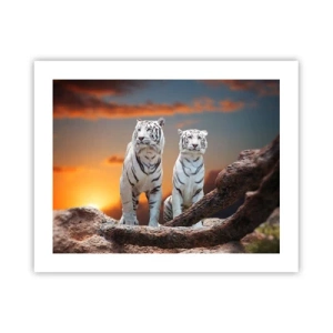 Poster - Proprio come a Narnia - 50x40 cm