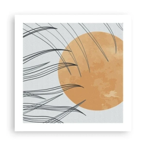 Poster - Sempre verso il sole - 50x50 cm