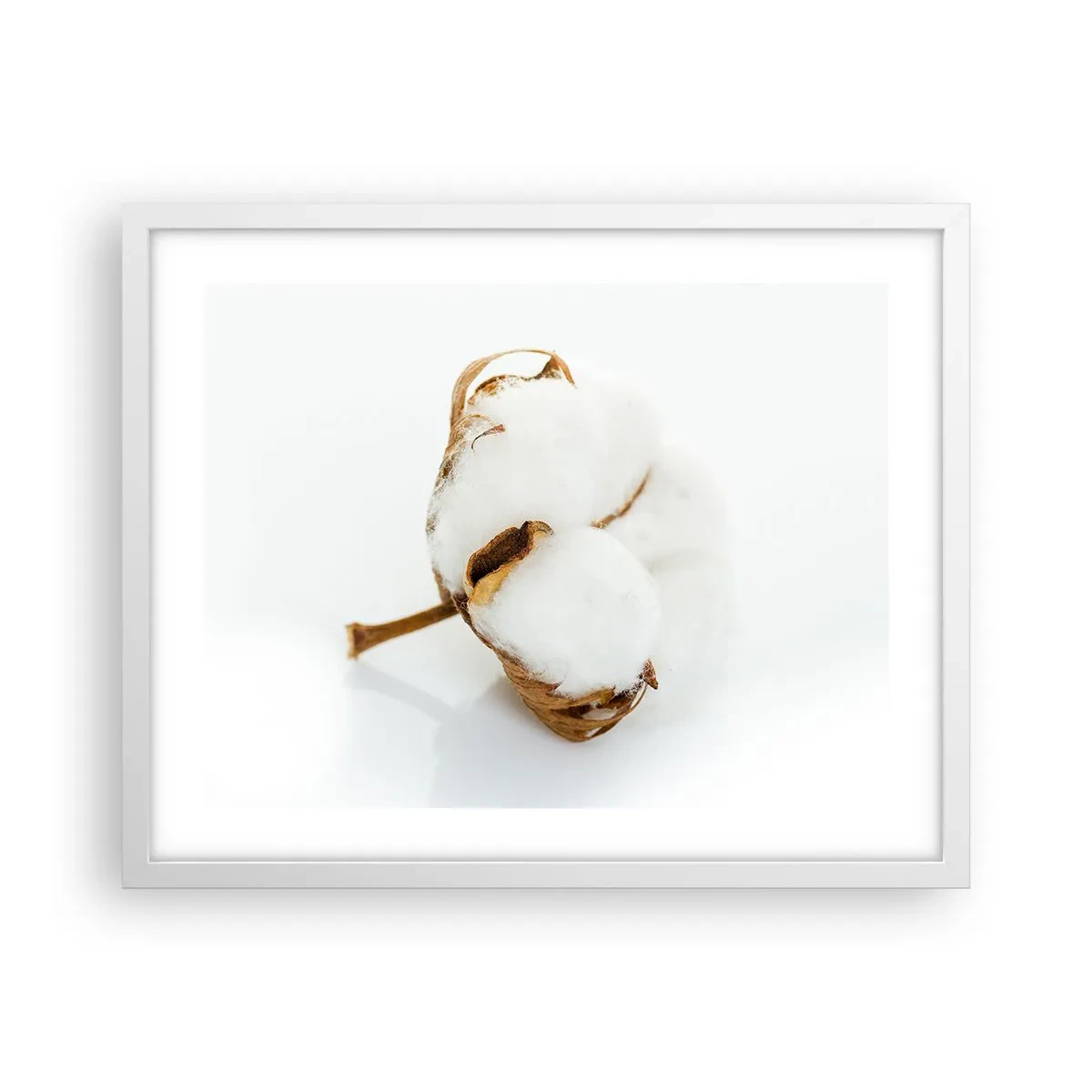 Poster in cornice bianca - Naturalmente morbido - 50x40 cm
