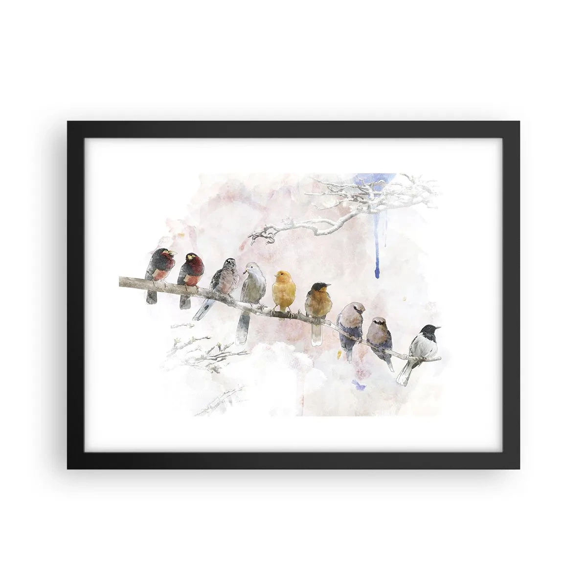 Poster in cornice nera - Incontro alato - 40x30 cm