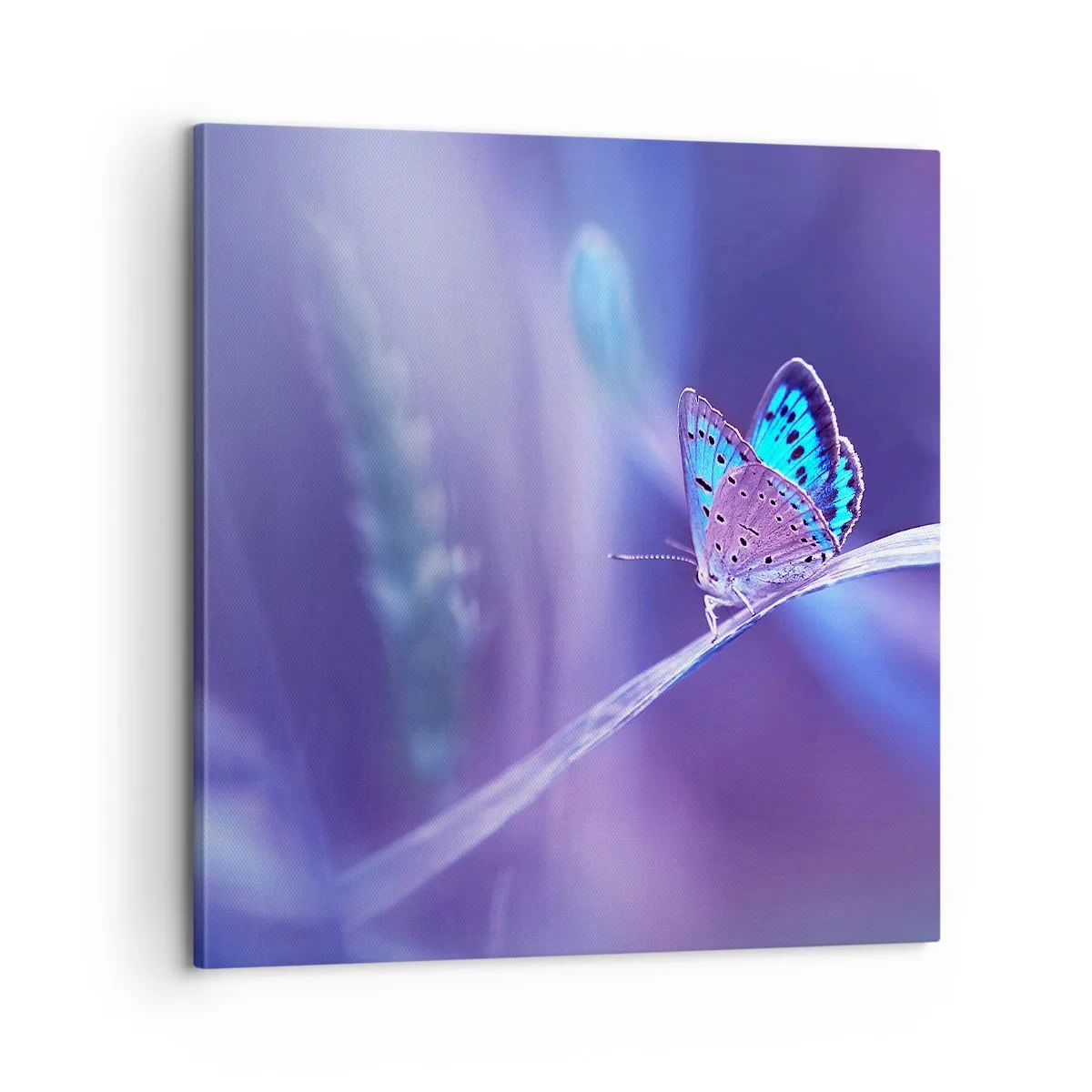 Quadro su tela - Stampe su Tela - Gioielli della natura - 60x60 cm