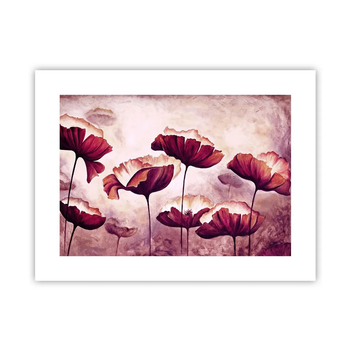 Poster - Petalo rosso e bianco - 40x30 cm