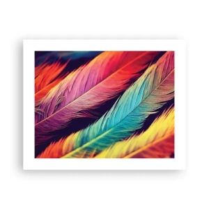Poster - Arcobaleno piumato - 50x40 cm