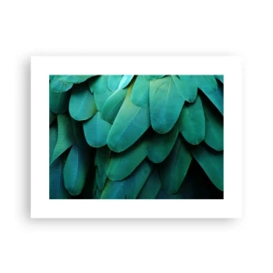 Poster - Precisione da pappagallo - 40x30 cm