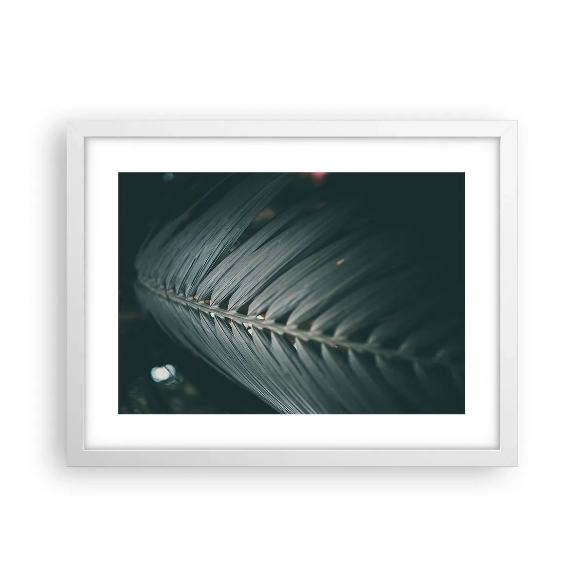 Poster in cornice bianca - La precisione della natura - 40x30 cm