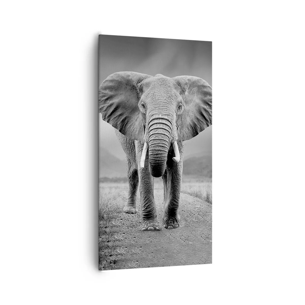 Quadro su tela - Stampe su Tela - Il padrone di casa dà il benvenuto - 65x120 cm