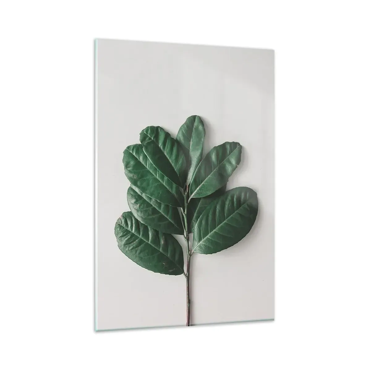Quadro su vetro - Un rametto di foglie verdi su uno sfondo chiaro - 80x120cm - Il disegno della natura stessa - Decorazione murale moderna per soggiorno e camera da letto ARTTOR