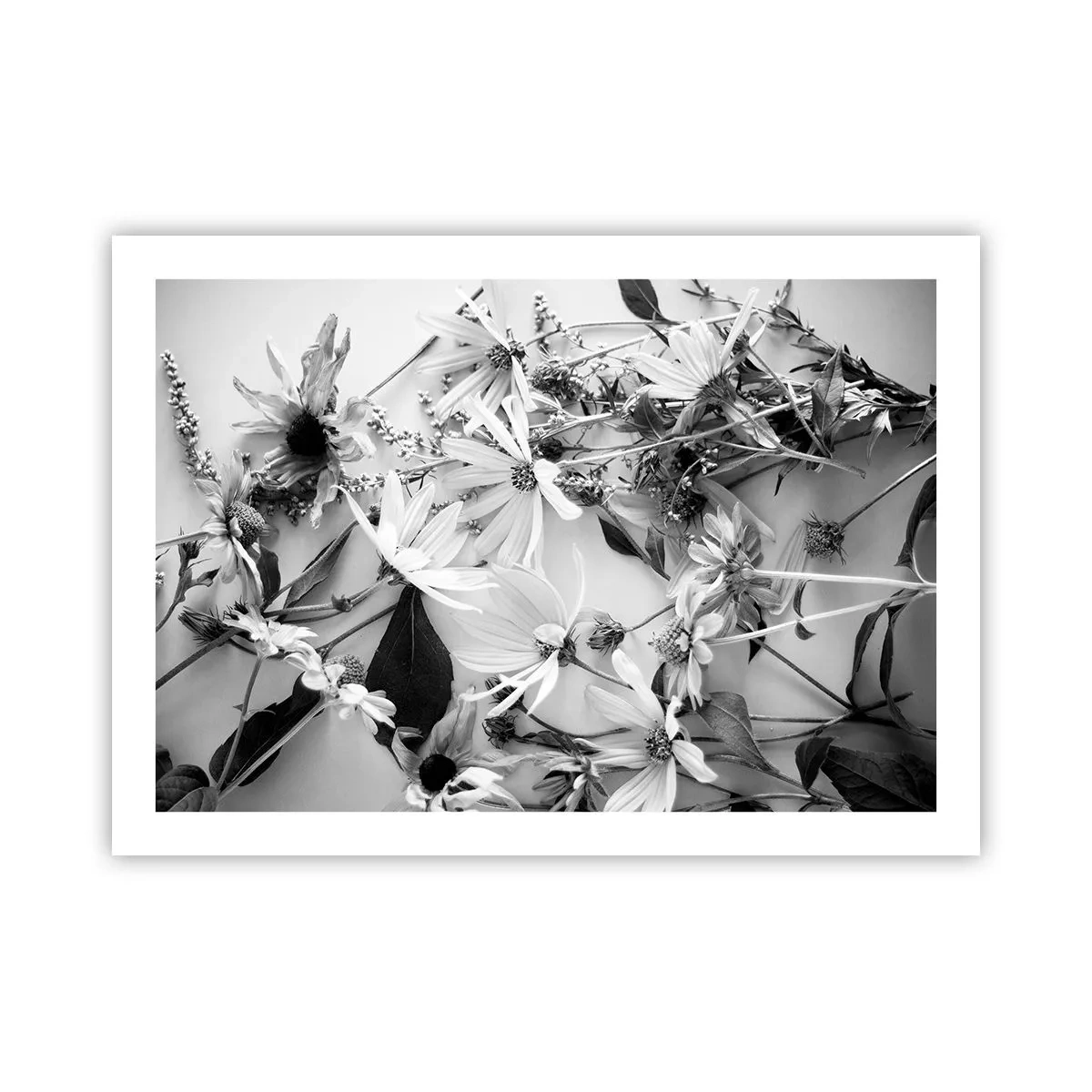 Poster - Un non bouquet di fiori - 70x50 cm