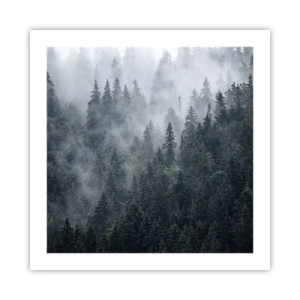 Poster - Alba nel bosco - 50x50 cm