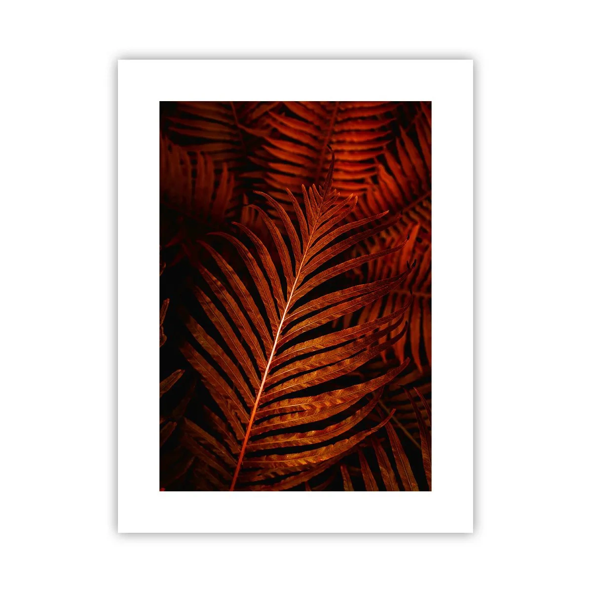 Poster - Il calore della vita - 30x40 cm