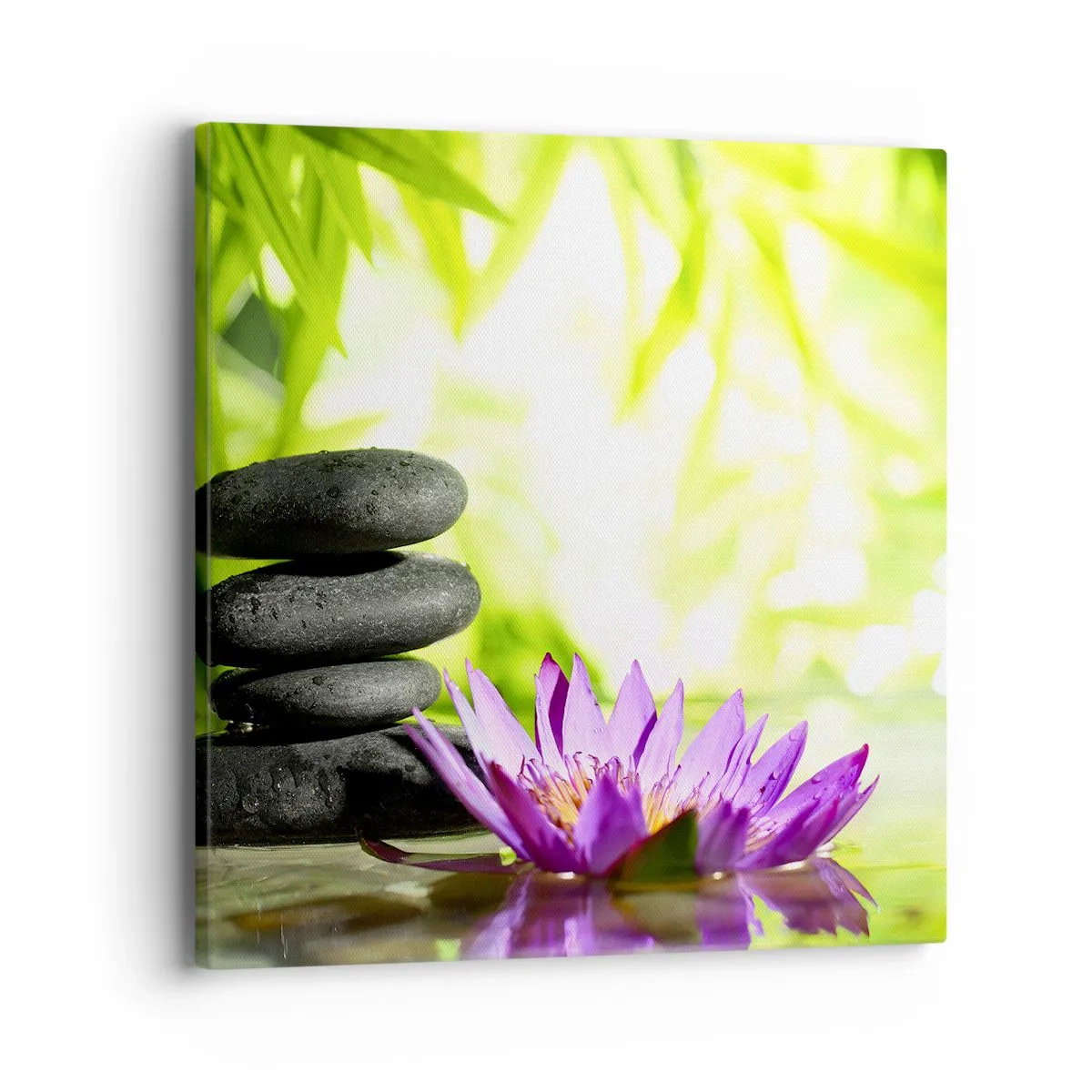 Quadro su tela - Stampe su Tela - In un cespuglio di bambù - 40x40 cm